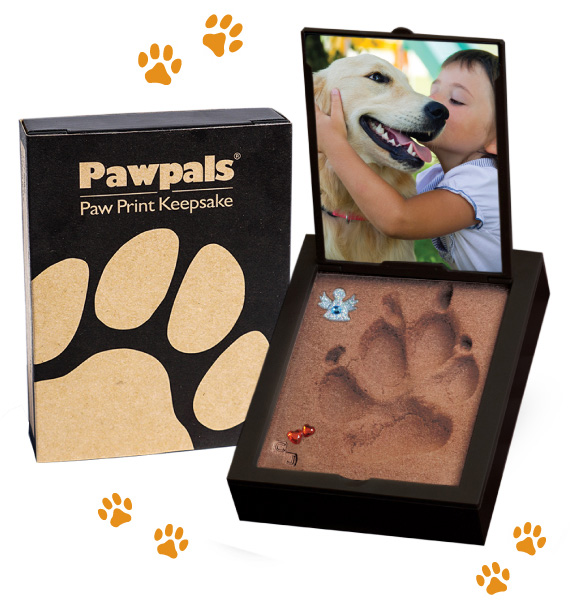 PawPal-1
